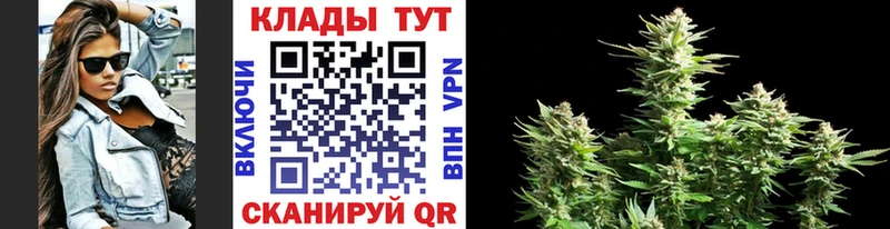 Где купить наркотики Грозный MDMA Гашиш СК Амфетамин