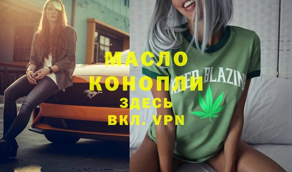 соль ск Алексин