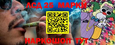 кокс Можайск