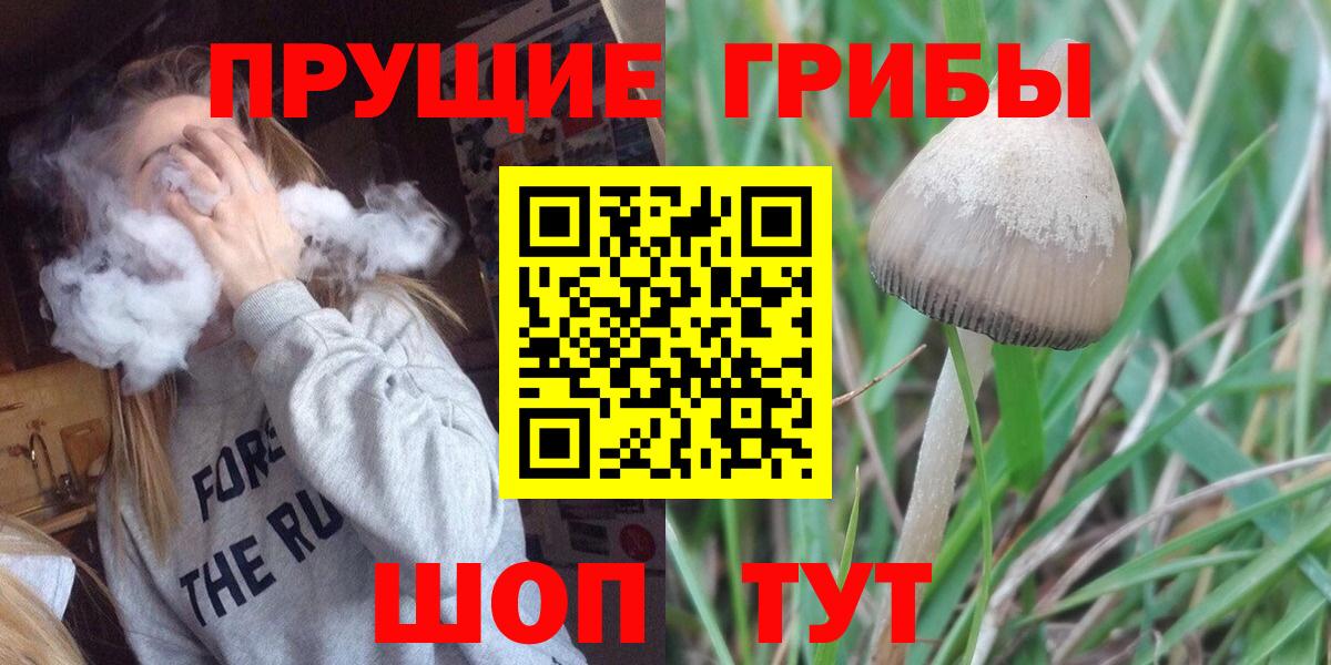 Галлюциногенные грибы Psilocybe  Галлюциногенные грибы Psilocybe  Вход с VPN  Грозный 